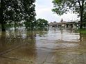 Hochwasser (231)